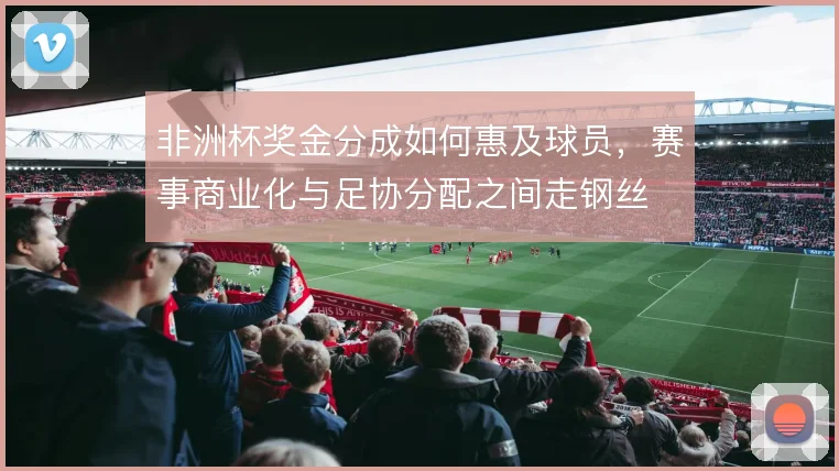 非洲杯奖金分成如何惠及球员,赛事商业化与足协分配之间走钢丝