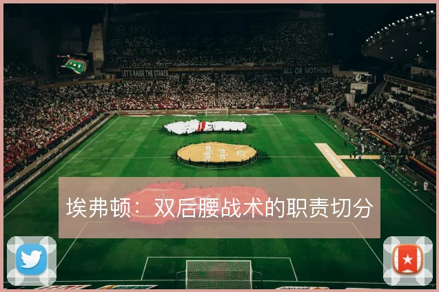 埃弗顿：双后腰战术的职责切分